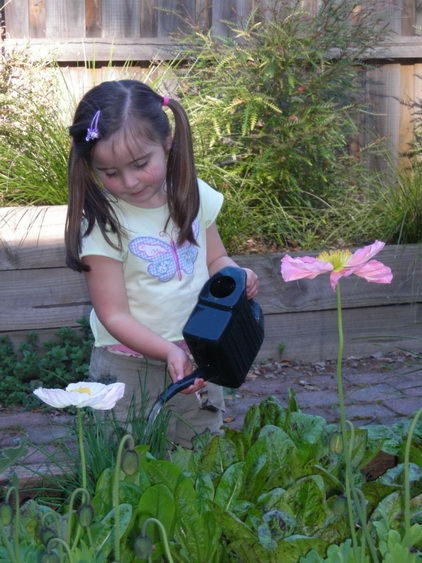 Kids in the garden