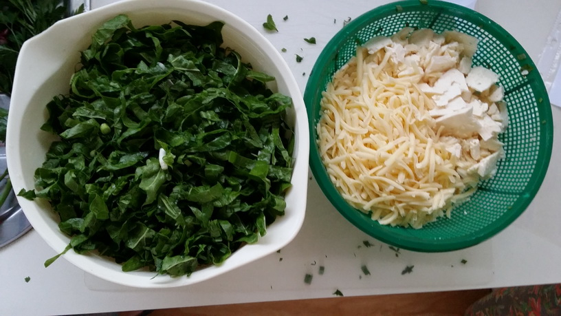 Greens and cheeses prepped for gozleme my green garden