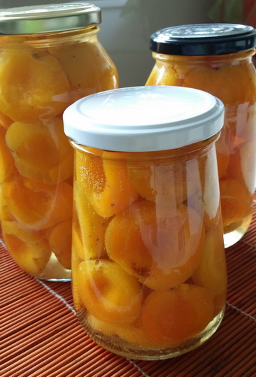 Bottled apricots preserving workshops